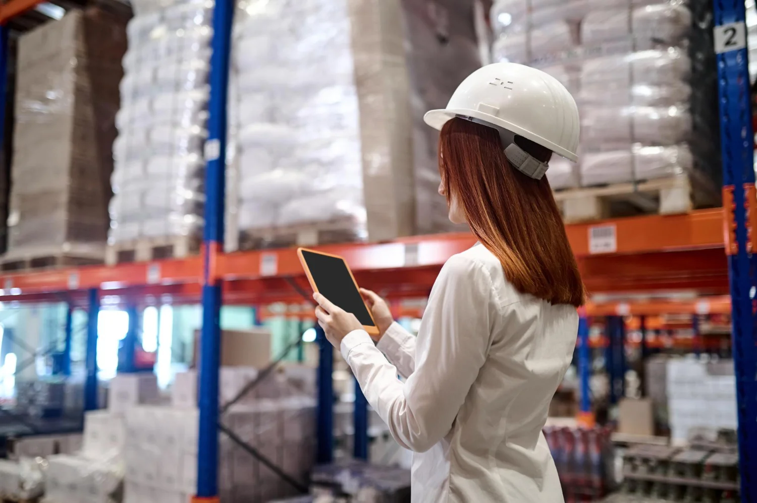 Inventory management with big data analytics